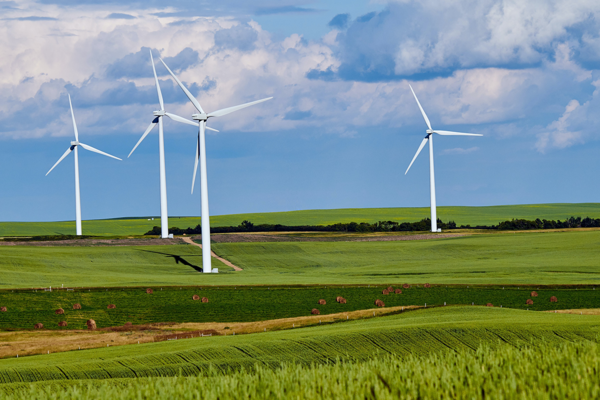 Grüne landwirtschaftliche Wiese mit vier Windrädern.