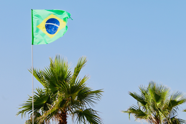 Brasilianische Flagge an Fahnenmast über Palmen.