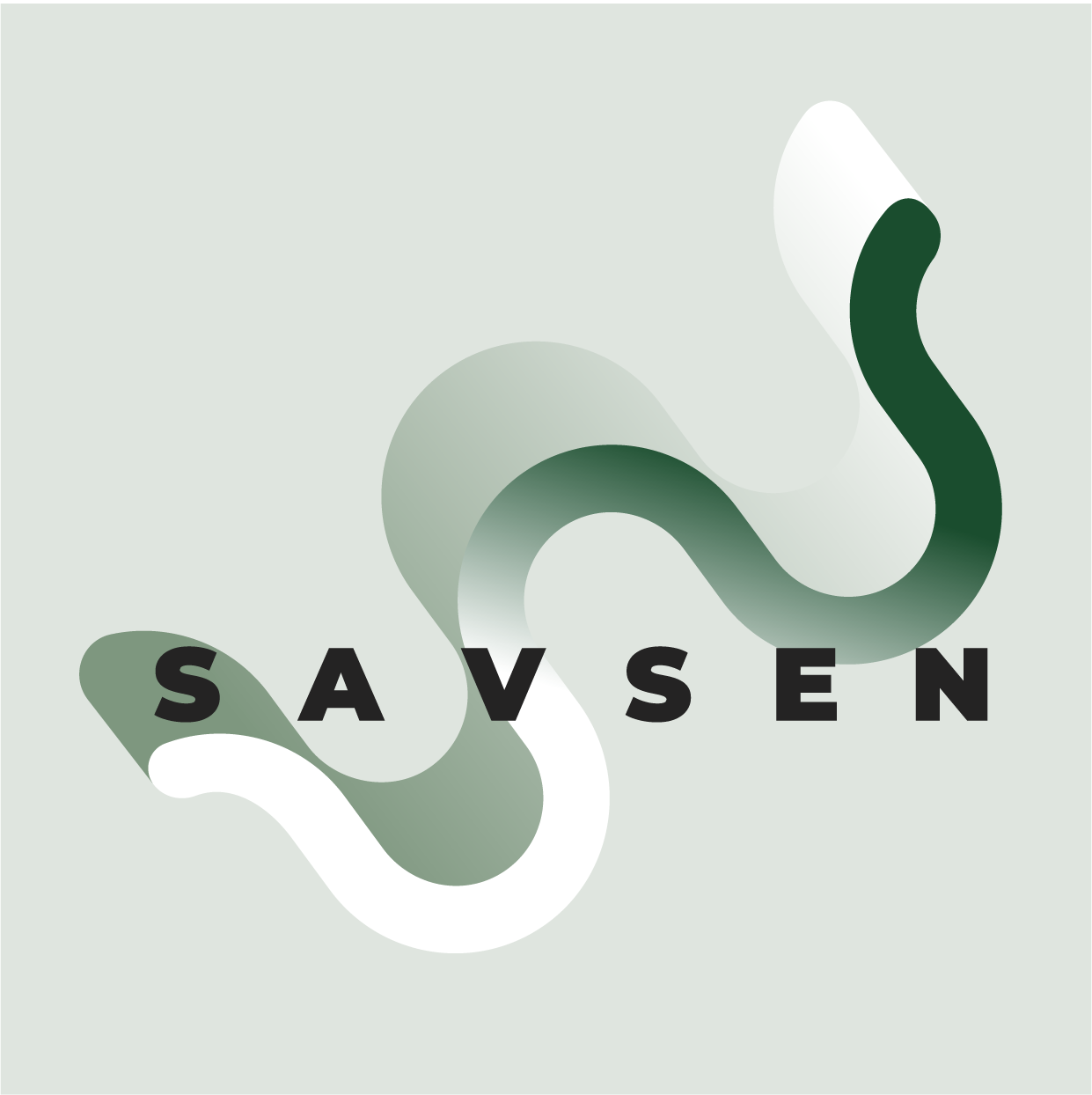 SAVSEN